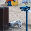 2009-11-trouville-OK (4)_GF